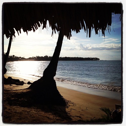 Sosua: Descubre los mejores lugares para ir como soltero en la República Dominicana